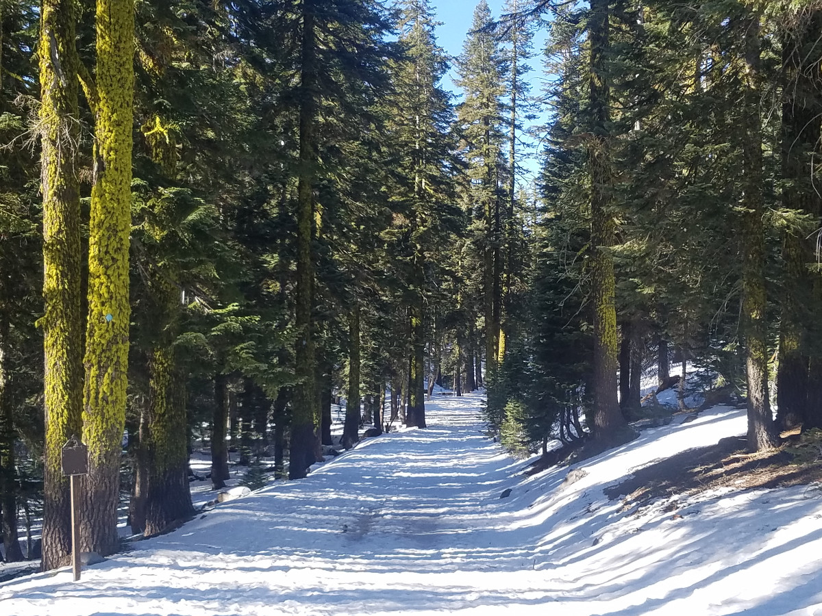 Upper Sand Flat X-C Trail Upper Sand Flat X-C Trail