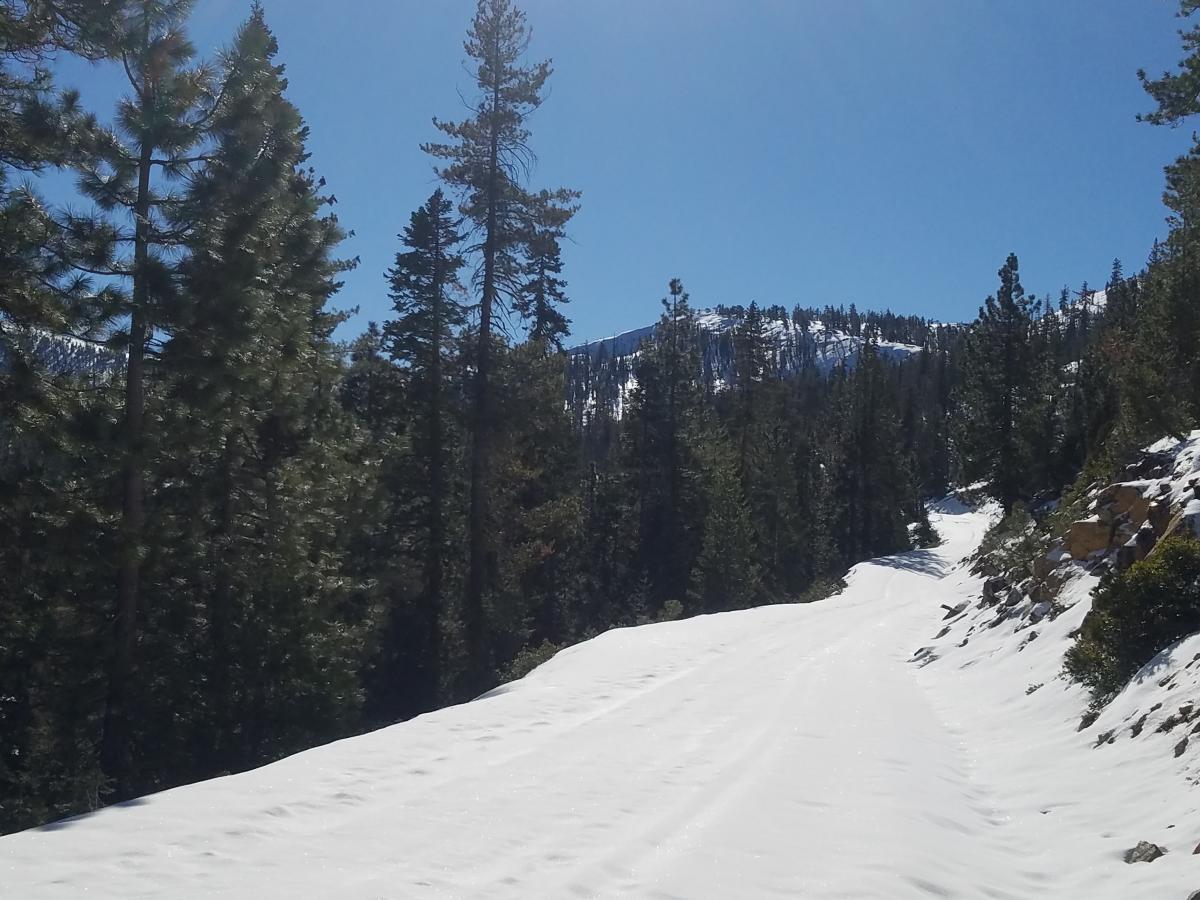 Road to Parks Creek Summit Road to Parks Creek Summit