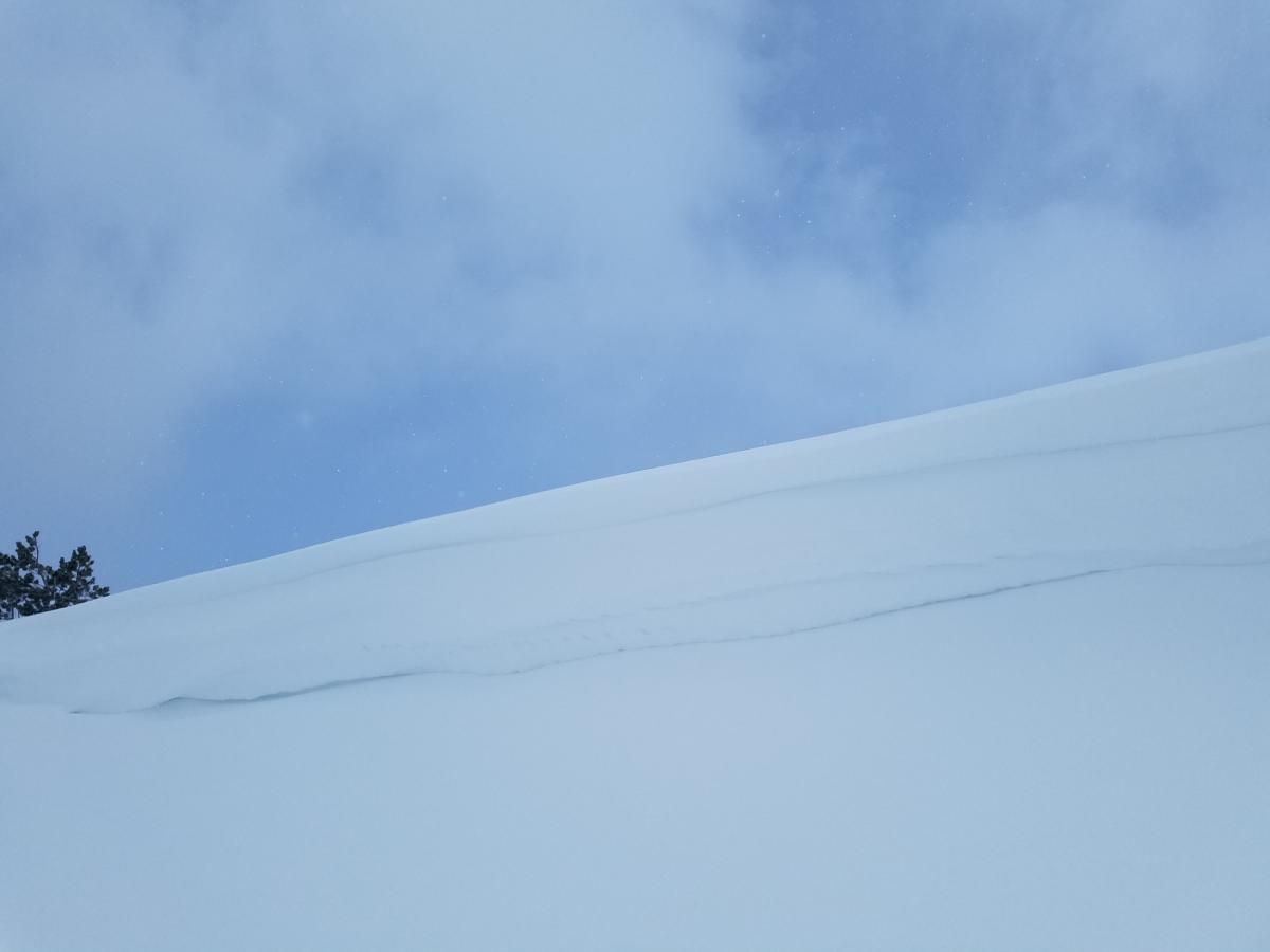 Small Cornice Formation, SE aspect, 7700 ft Cornice Formation