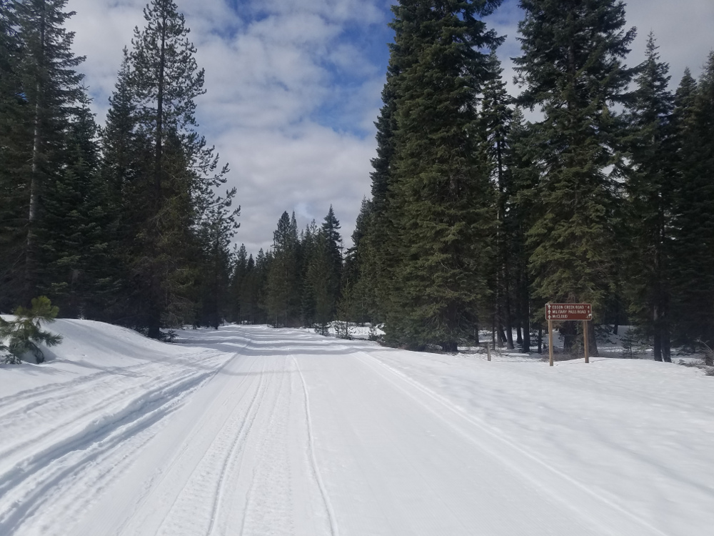 Trails Near Trout Creek Trails Near Trout Creek