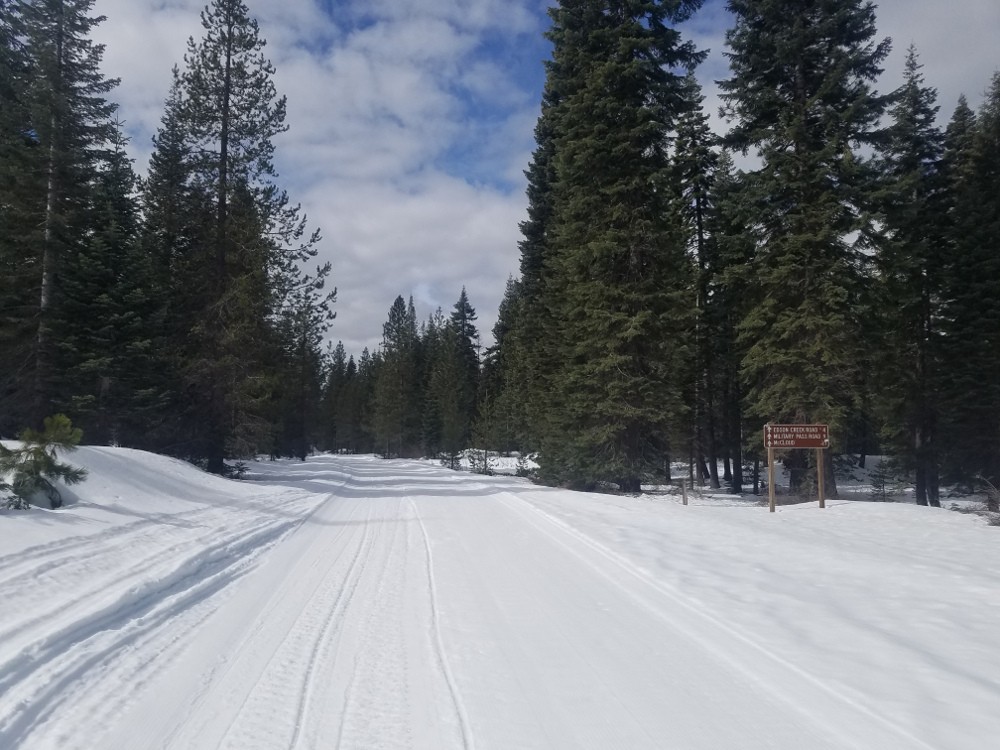 Trails Near Trout Creek