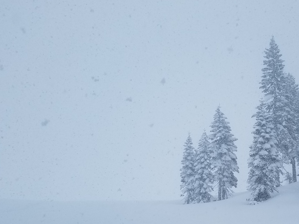 Whiteout Conditions above Treeline