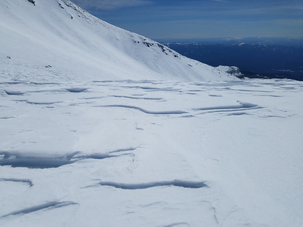 Sastrugis above Treeline