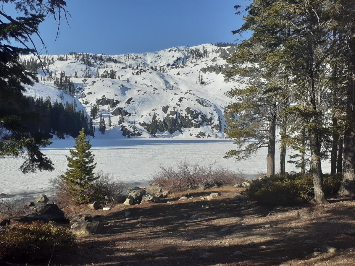 North shore of Castle Lake