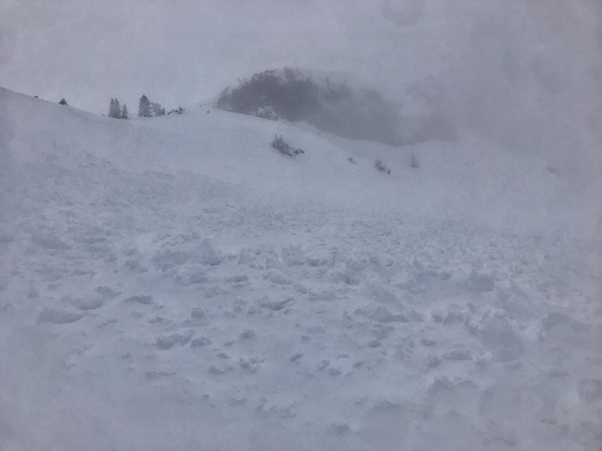 A heavy, wet natural wind slab avalanche off the east aspect of Green Butte proper. Visibility never allowed, but it's possible that the entire east face slid. This photo from 8,100 feet.