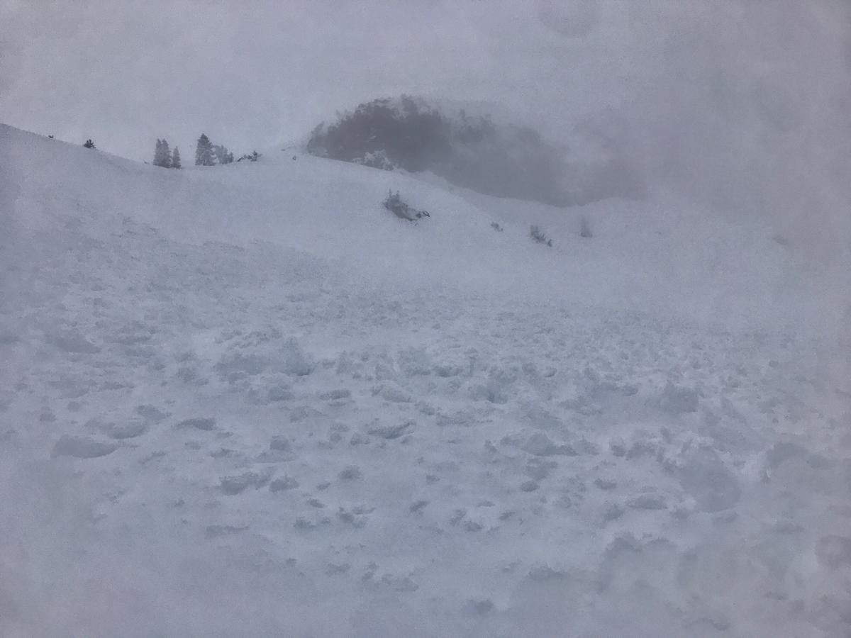 A heavy, wet natural wind slab avalanche off the east aspect of Green Butte proper. Visibility never allowed, but it's possible that the entire east face slid. This photo from 8,100 feet. A heavy, wet natural wind slab avalanche off the east aspect of Green Butte proper. Visibility never allowed, but it's possible that the entire east face slid. This photo from 8,100 feet.