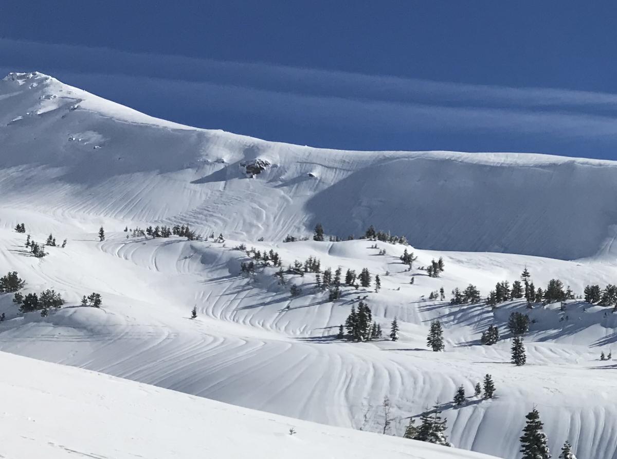 Green butte avalanche crown Old crown on green butte