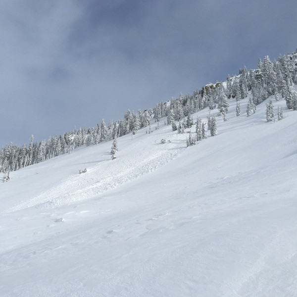 D1 Avalanche Gray Butte