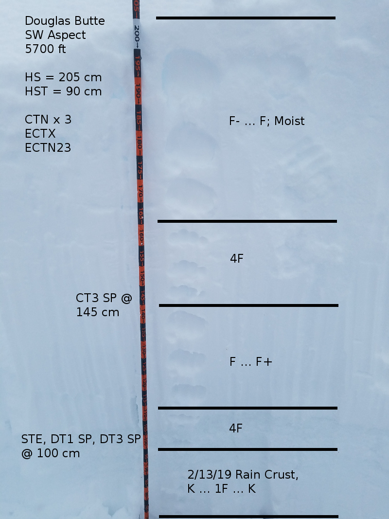 Test Profile