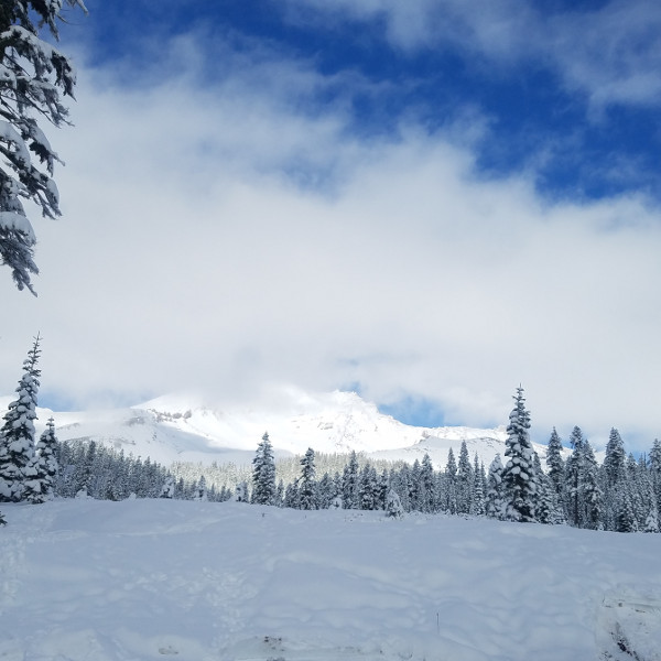 View From Bunny Flat