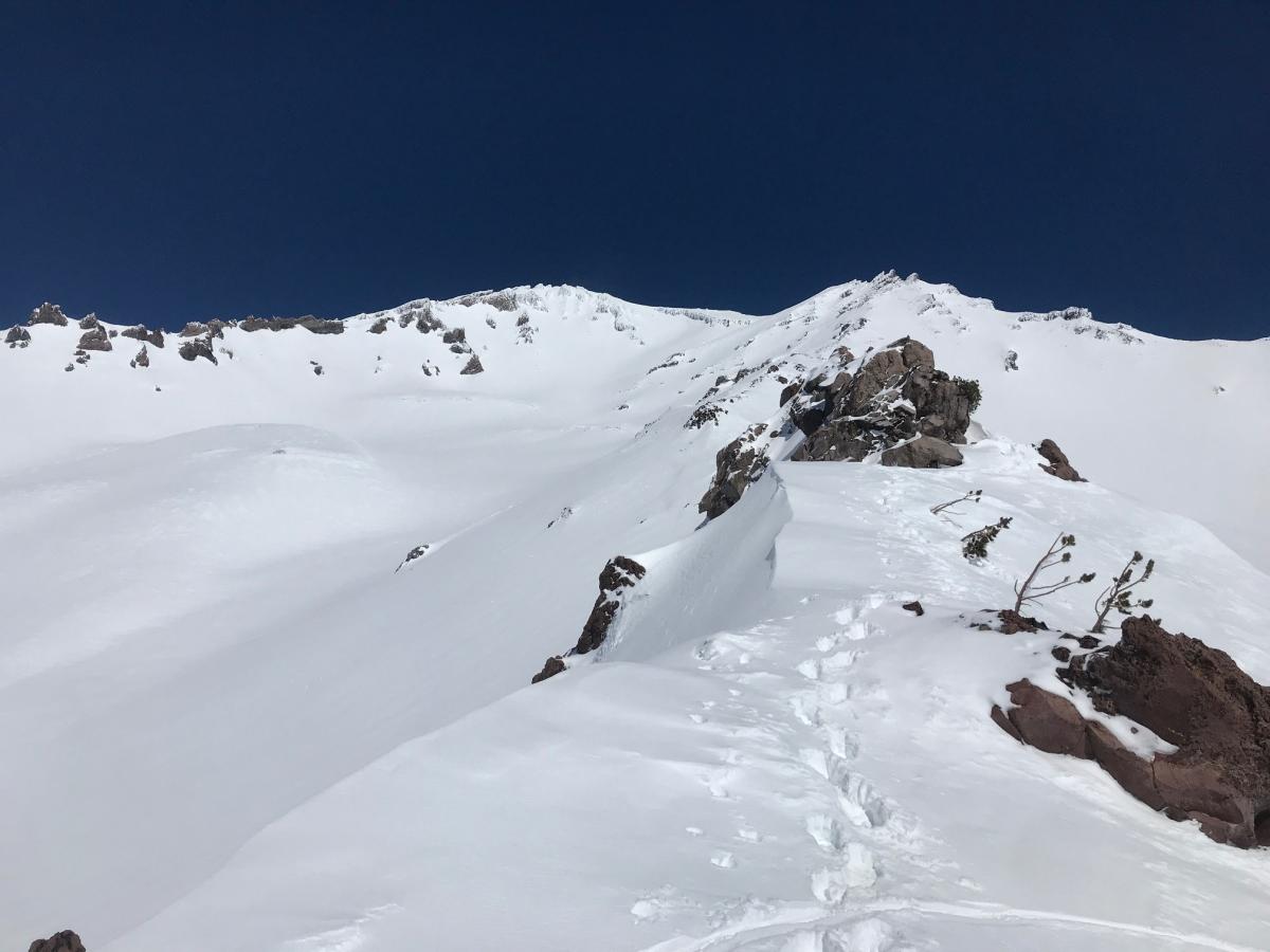 9,500 feet on Green Butte Ridge, looking up the mountain- 3.21.19