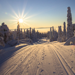 Road with snow