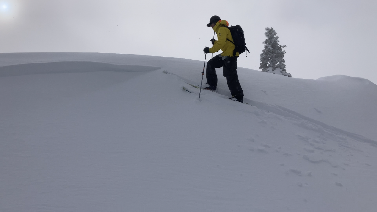 A good example of a "test slope" to assess snow instability. 