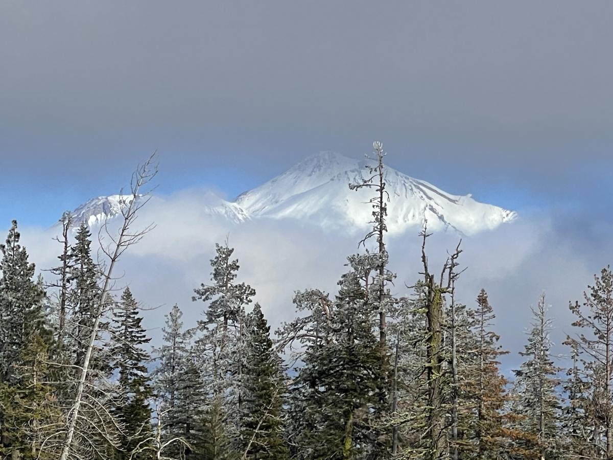 Mt Shasta viewed from Wagon Bowl, Eddy Mtns