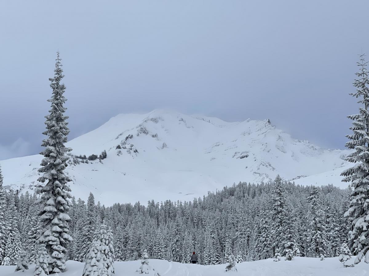 Mt Shasta from Bunny Flat, early afternoon