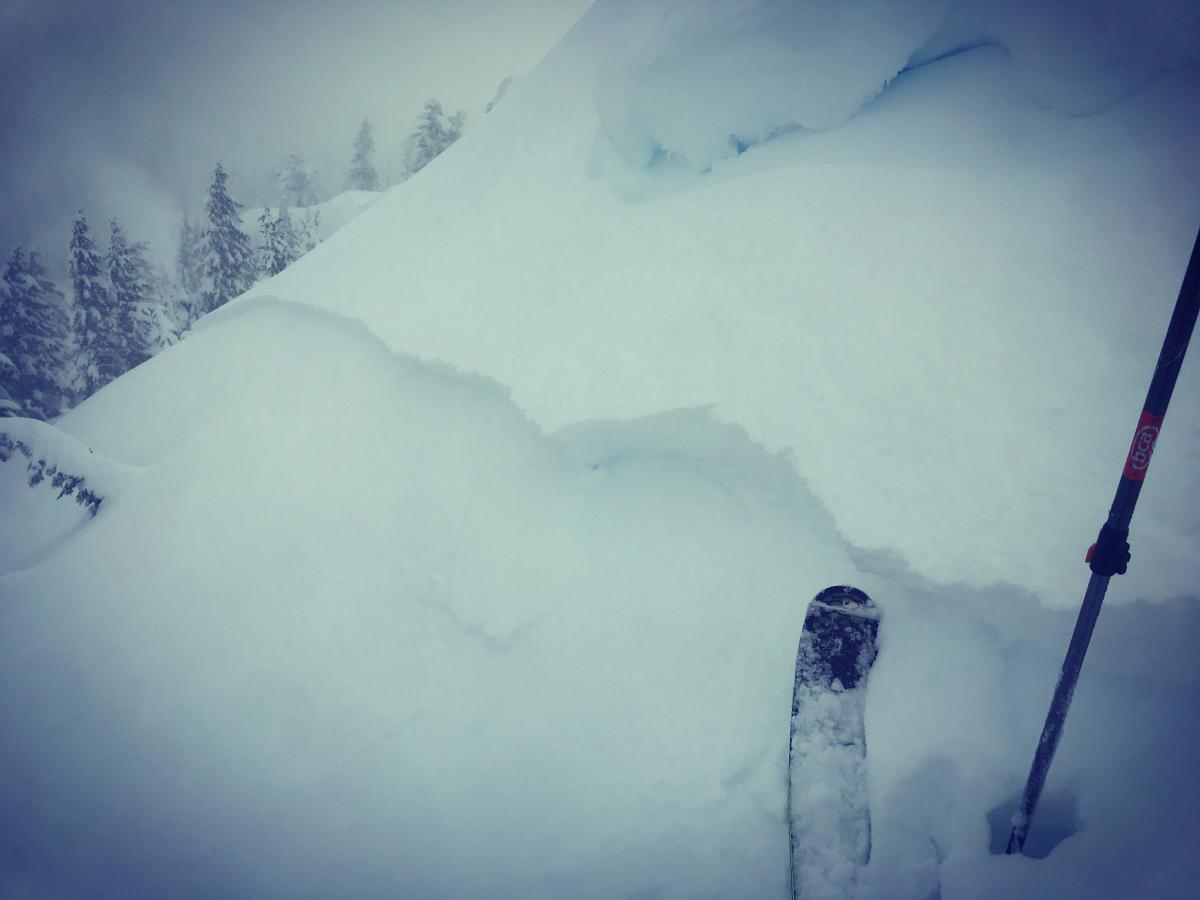 Storm slab on an east facing slope, near/above treeline on Gray Butte, triggered by a cornice drop. This slide was big enough to bury, inure or kill a person. Storm slab on an east facing slope, near/above treeline on Gray Butte, triggered by a cornice drop. This slide was big enough to bury, inure or kill a person.