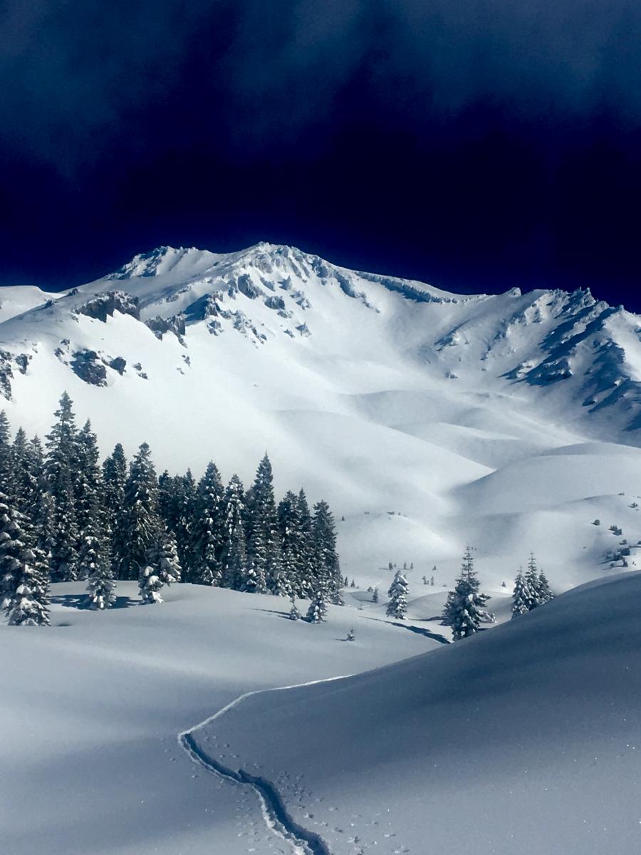 Avalanche Gulch on 3.8.19 - Photo: J. Koster Avalanche Gulch on 3.8.19 - Photo: J. Koster