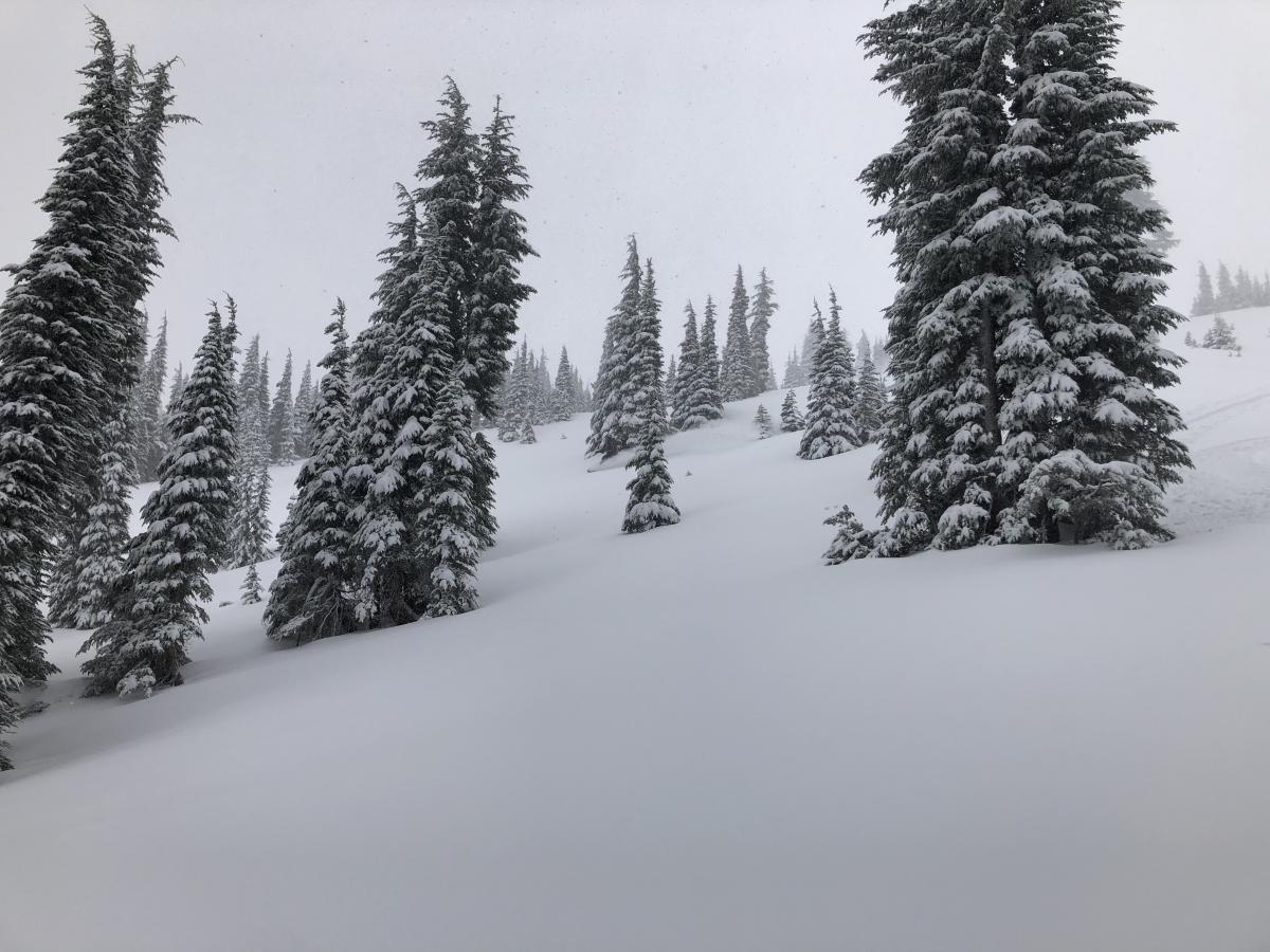 Upper Al's