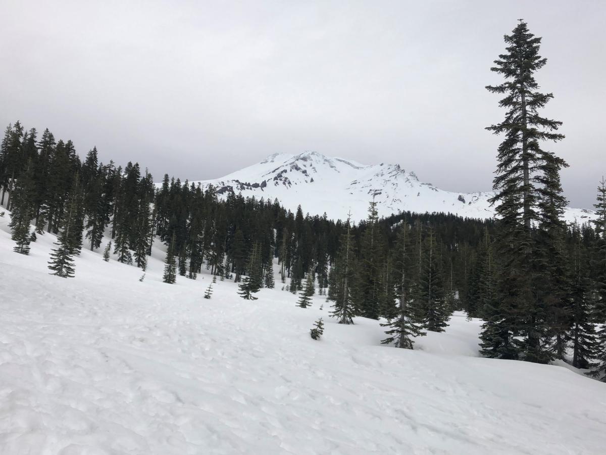 South side of Mount Shasta looking up Avalanche Gulch from Bunny Flats