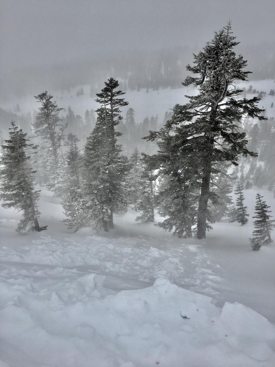 Small, chunky wind slabs were triggered along small test slopes. A fresh breeze (19-24 mi/hr) out of the southeast was loading westerly slopes. Small, chunky wind slabs were triggered along small test slopes. A fresh breeze (19-24 mi/hr) out of the southeast was loading westerly slopes.