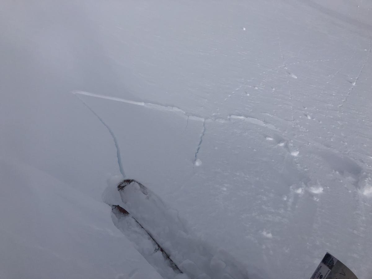 Small wind slab on SE test slope 7,900 feet