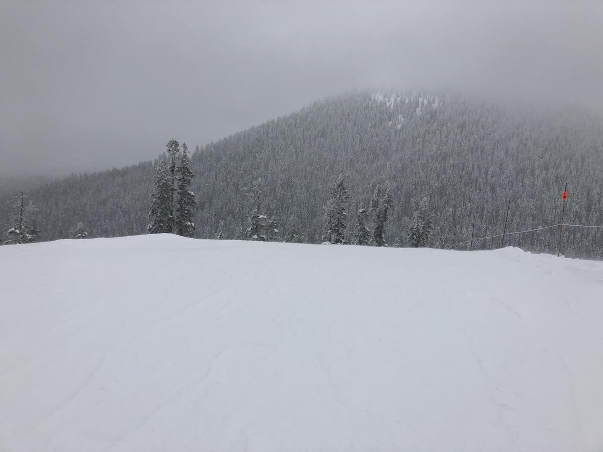 Looking towards Gray Butte from Coyote