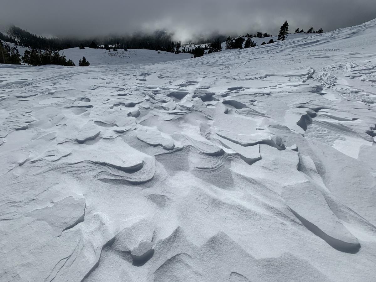 Wind effected snow above treeline, Old Ski Bowl, Mt Shasta, ~9,000 feet