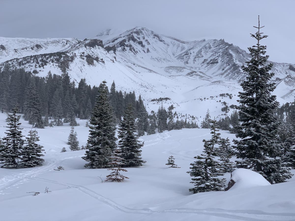 Avalanche Gulch, near treeline. Avalanche Gulch, near treeline.