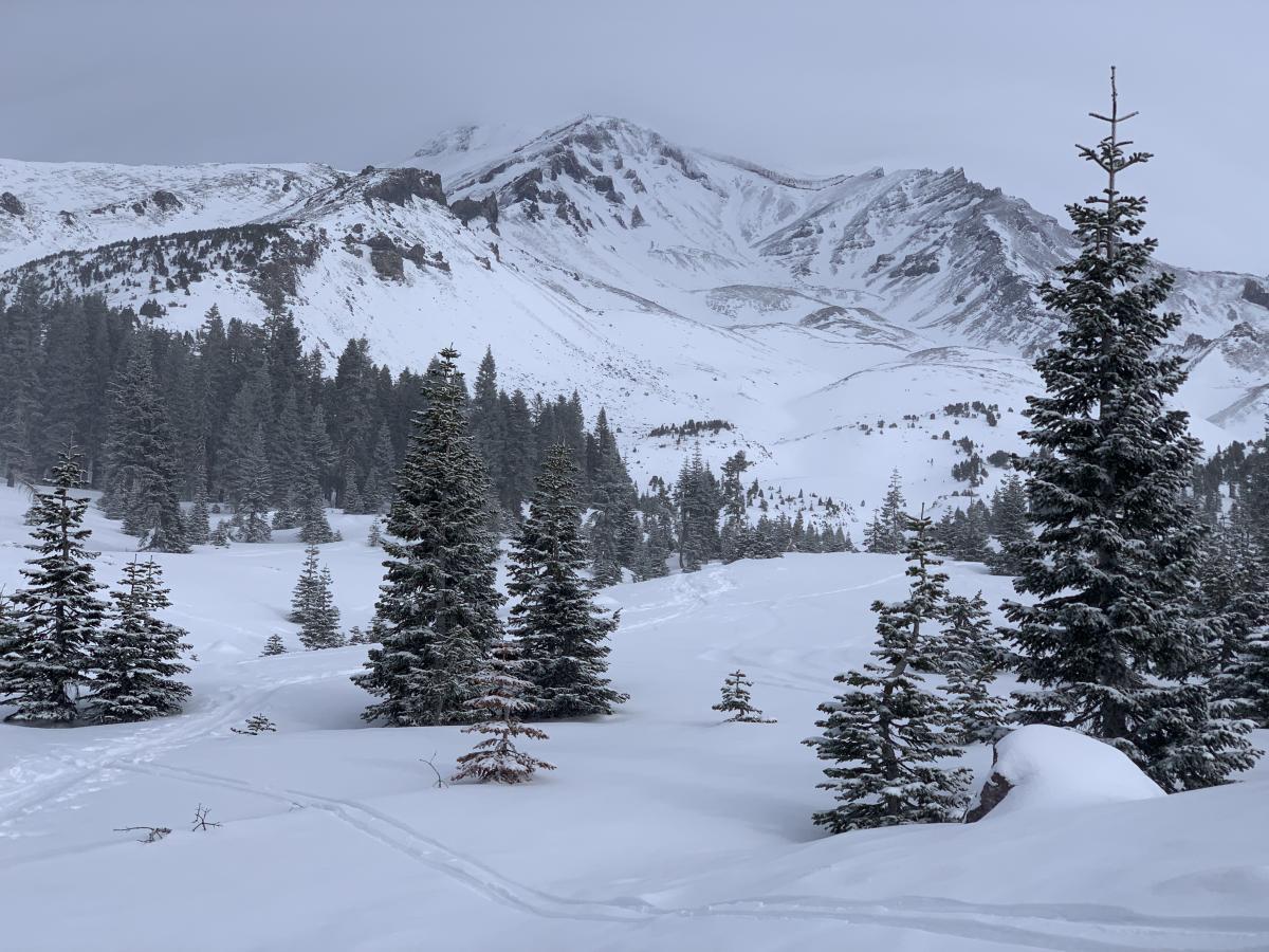 Avalanche Gulch, near treeline.