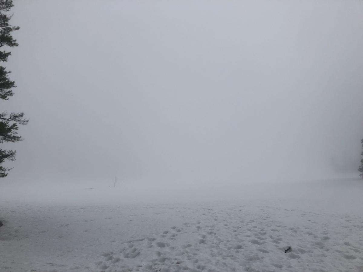 Low Visibility at Castle Lake Low Visibility at Castle Lake