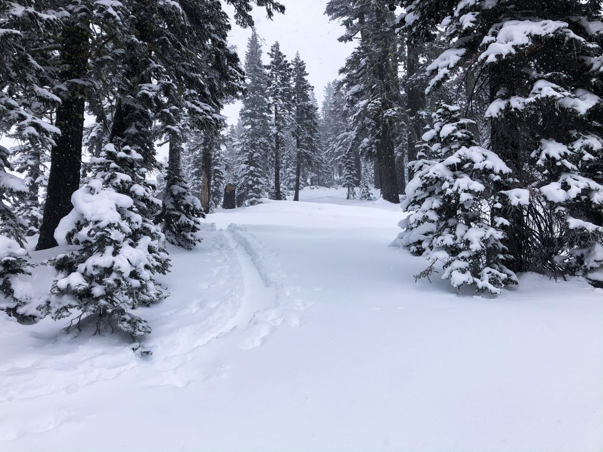 Skin track on Green Butte ridge 7,400 feet