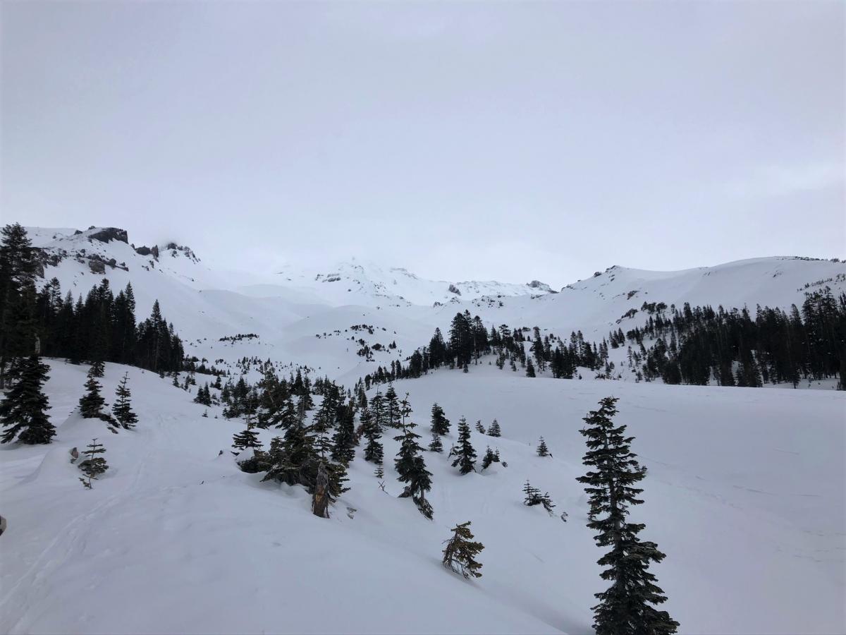 Looking up Avalanche Gulch near treeline 7,800 feet