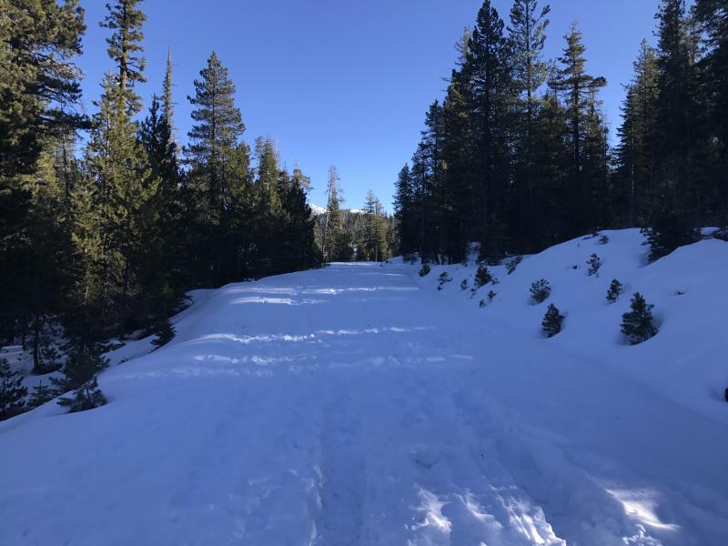 Parks Creek Road @ 6400ft