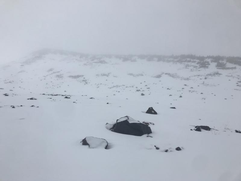 8,900 feet in the Old Ski Bowl on 1/4/18, looking up at Sargents Ridge 8,900 feet in the Old Ski Bowl on 1/4/18, looking up at Sargents Ridge