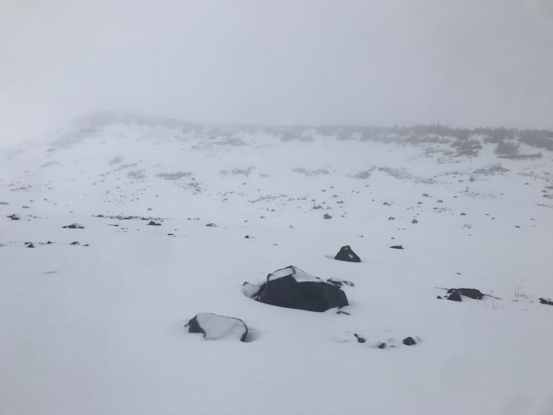 8,900 feet in the Old Ski Bowl on 1/4/18, looking up at Sargents Ridge