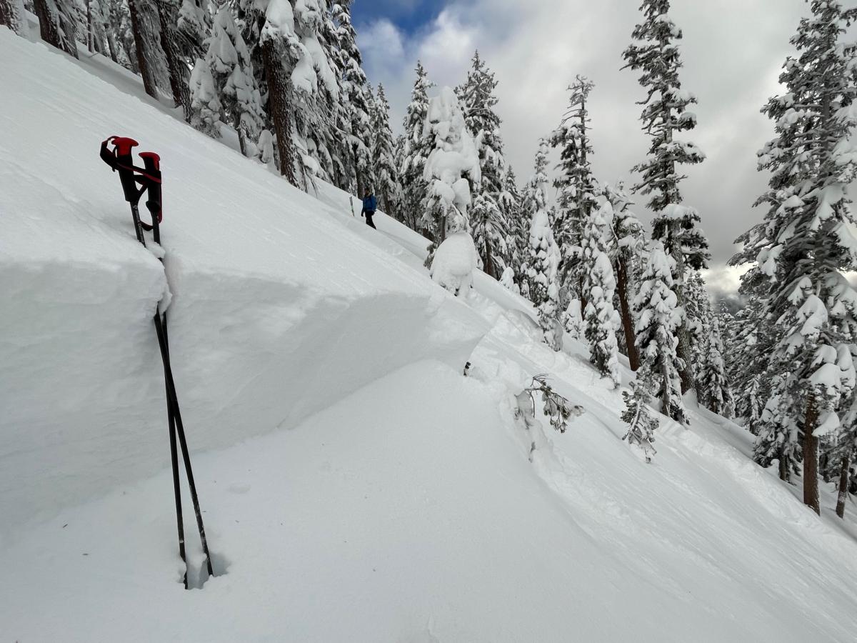 West Face Gray Butte avalanche 