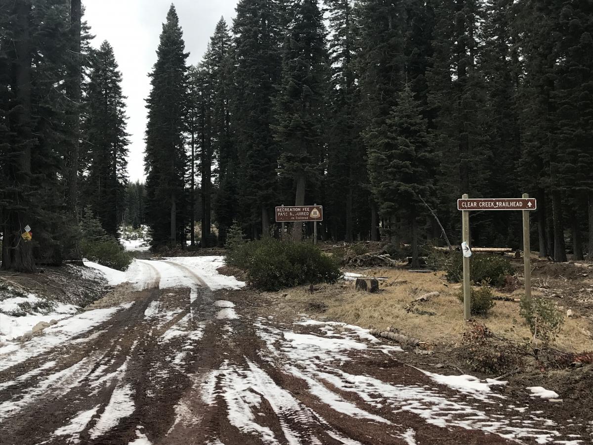 Junction of road 31 and the clear creek road