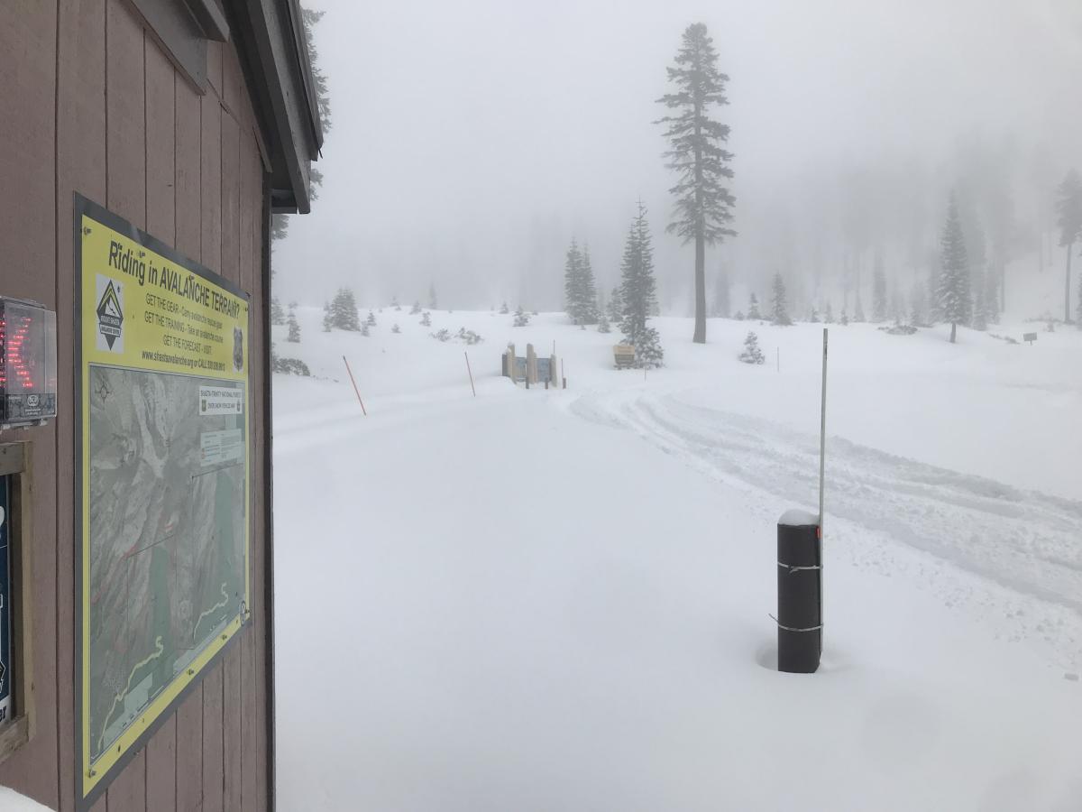 Bunny Flat, 6,950 ft Bunny Flat, 6,950 ft