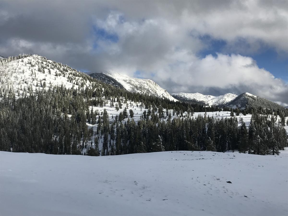 Deadfall Lakes drainage from Park Creek summit