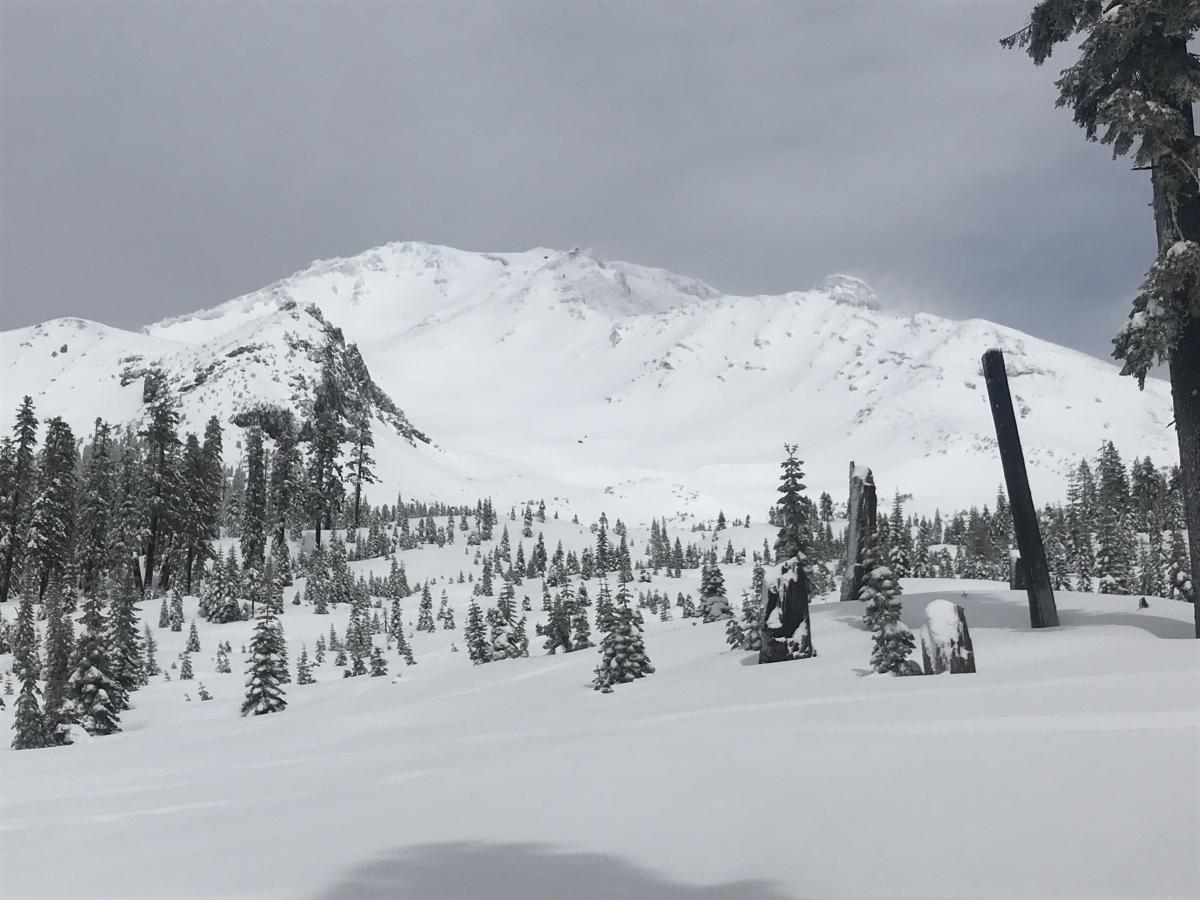 Bottom of the Old Ski Bowl avalanche path