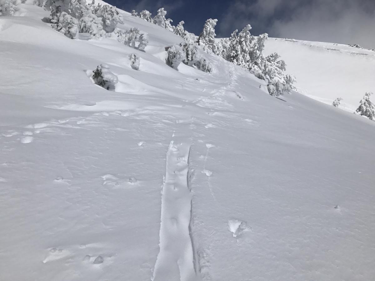 wind loading quickly filling in recent tracks