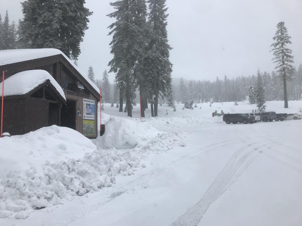 Bunny Flat, 6,950 ft, road plowed, good condition Bunny Flat, 6,950 ft, road plowed, good condition