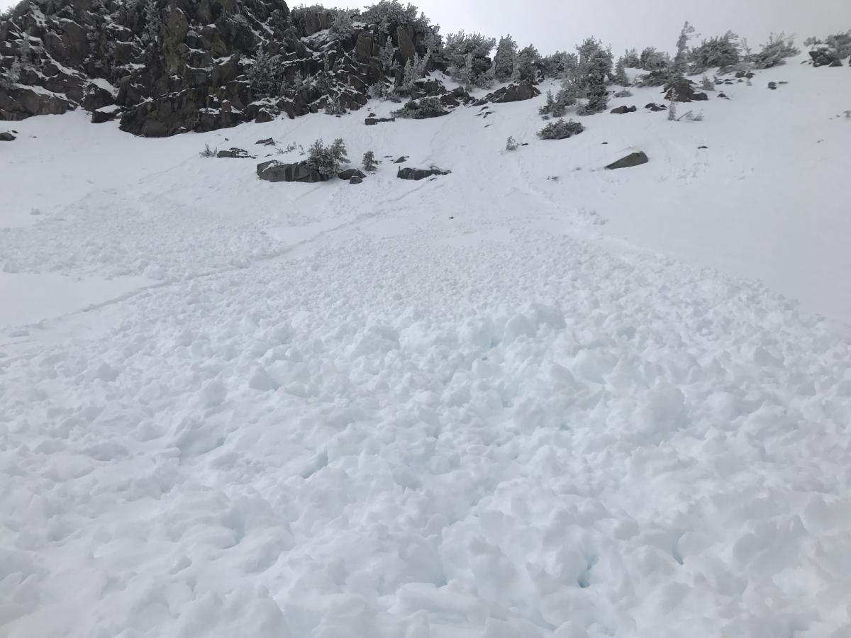 Natural Wet Loose Avalanche on a SW aspect of Yellow Butte at 8100 ft (D1)