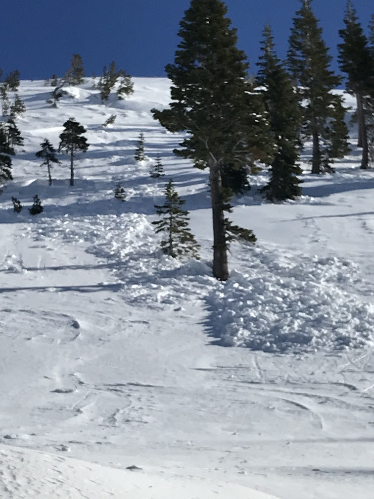 Natural wind slab avalanche off Green Butte Ridge into Avalanche Gulch near treeline (N-HS-D1.5) Natural wind slab avalanche off Green Butte Ridge into Avalanche Gulch near treeline (N-HS-D1.5)