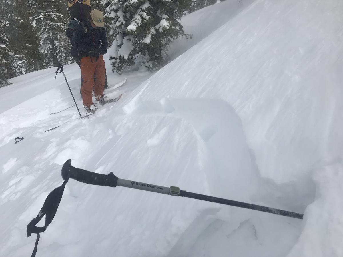 Firm, hollow wind slabs were easy to trigger near treeline in leeward terrain. Winds were E/NE. Firm, hollow wind slabs were easy to trigger near treeline in leeward terrain. Winds were E/NE.