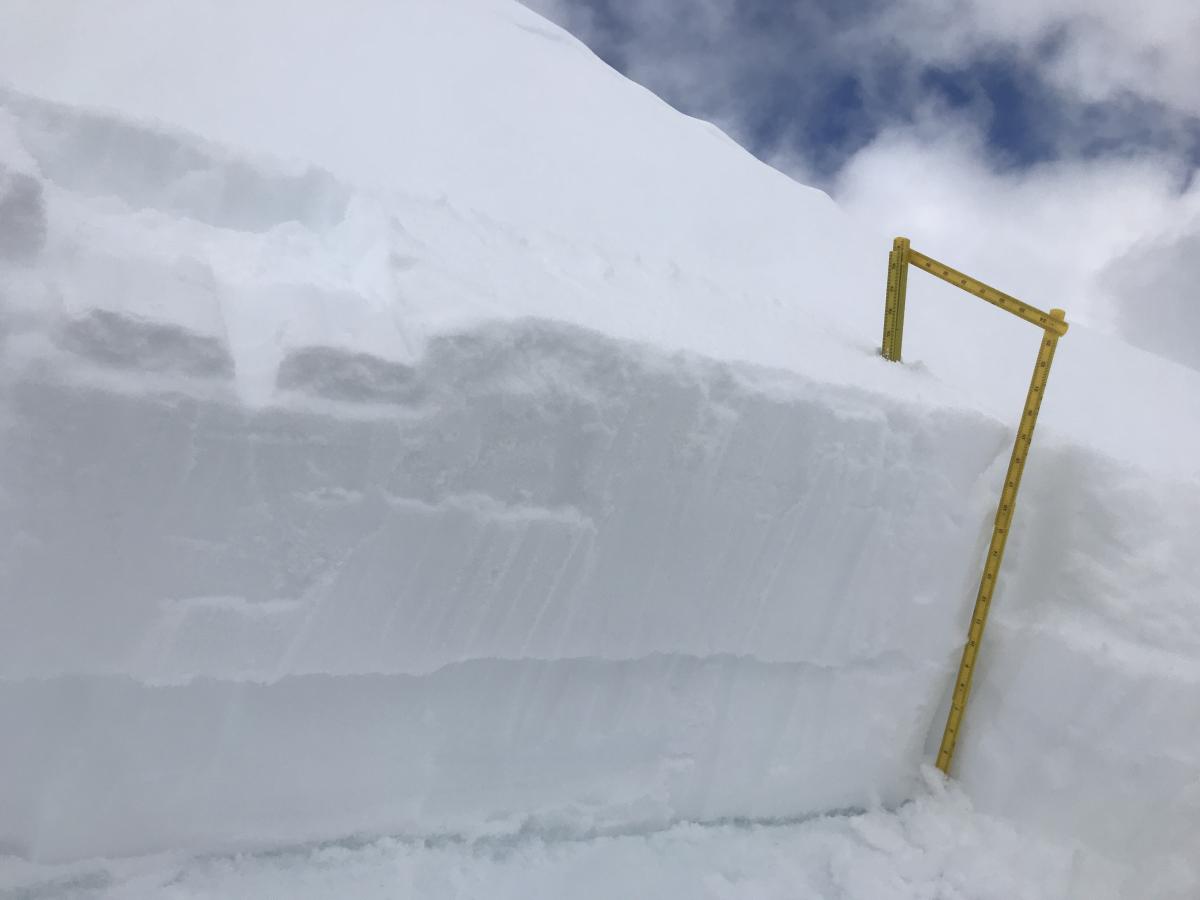 ECTP12 down 10 inches (25cm), west facing, 8,800 feet ECTP12 down 10 inches (25cm), west facing, 8,800 feet