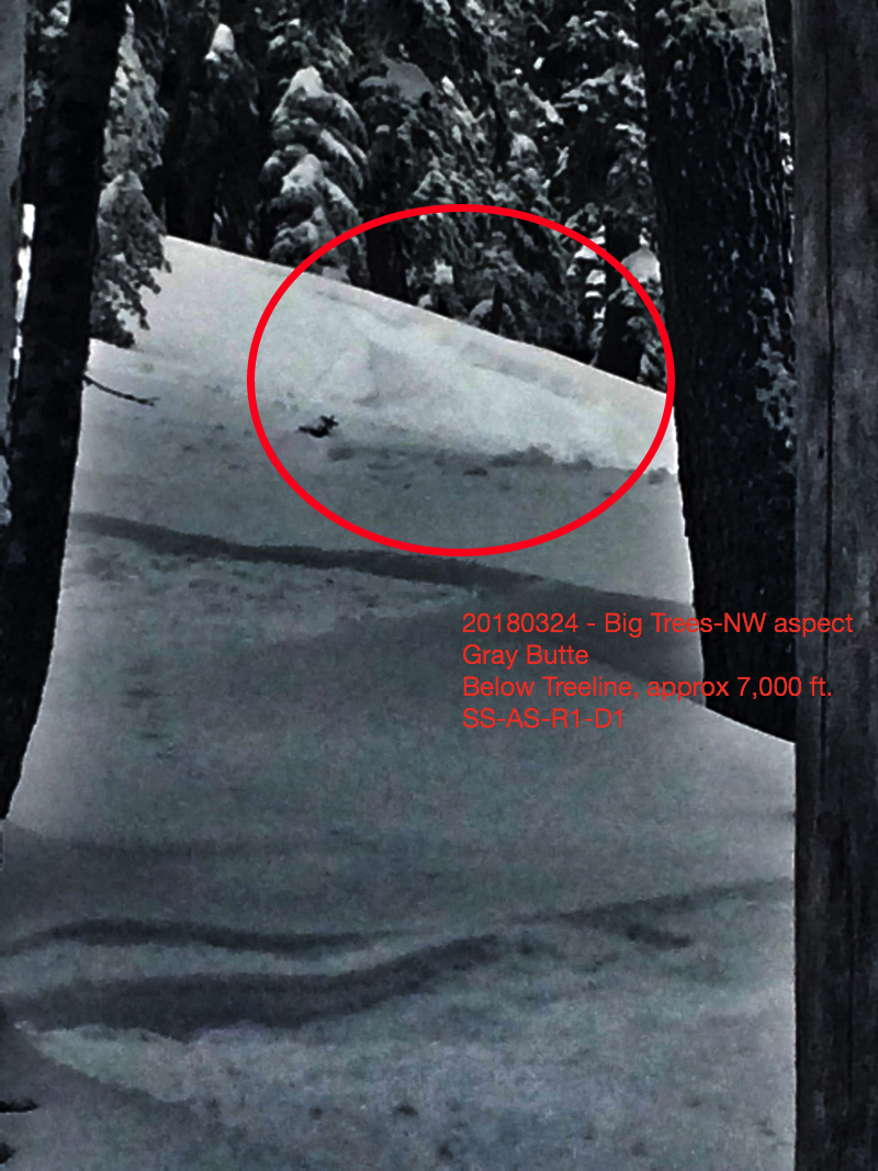 Small skier triggered storm slab on northwest aspect of Gray Butte Small skier triggered storm slab on northwest aspect of Gray Butte