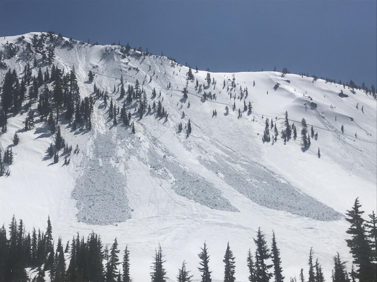 Several natural loose wet avalanches on west facing aspect of Gray Butte, occurring late in the day on 4.9.20 Several natural loose wet avalanches on west facing aspect of Gray Butte, occurring late in the day on 4.9.20