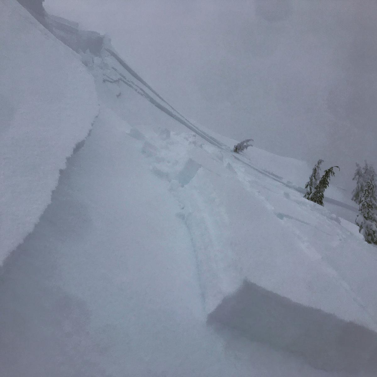 Wind Slab avalanche on Gray Butte