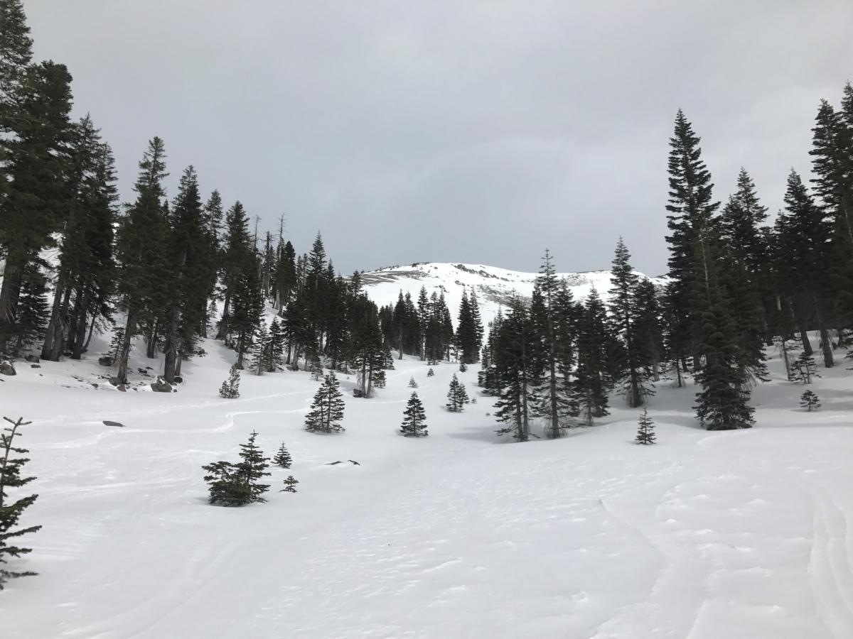Lower Sun Bowl - grabby wind/sun crust caps the new snow in near treeline areas